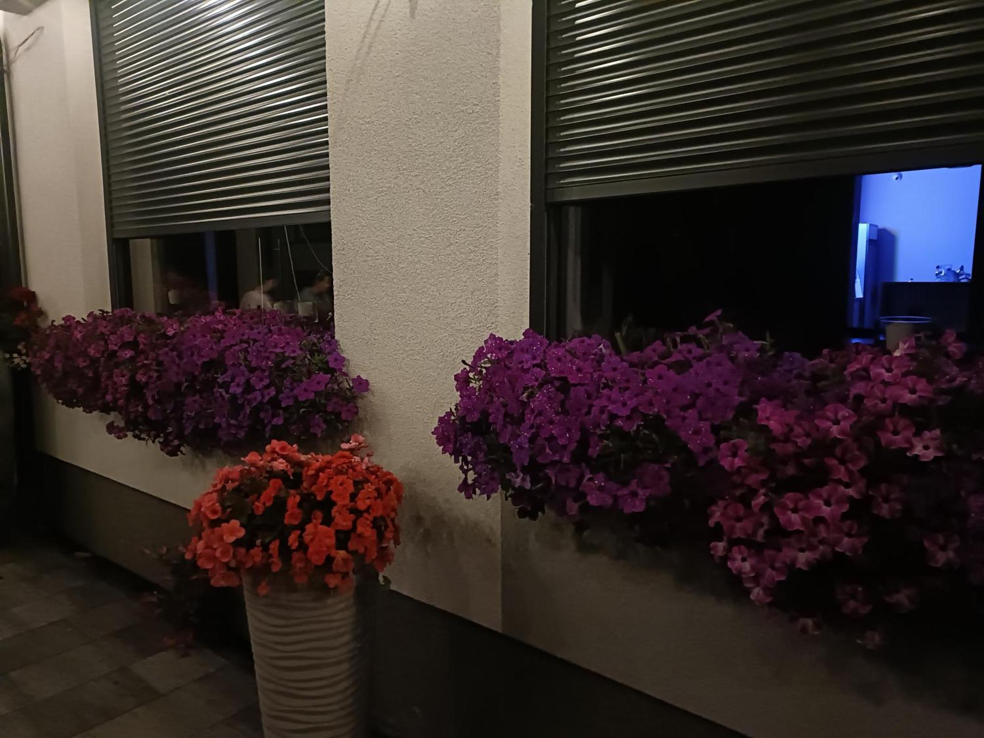 Hotel Lesne Niebo Lubniewice Esterno foto